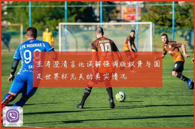 王涛澄清言论误解强调版权费与国足世界杯无关的真实情况